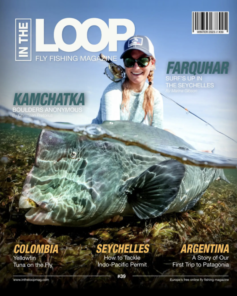 In the loop magazine